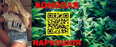 mdpv Новозыбков